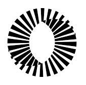 Echo Neurotechnologies logo