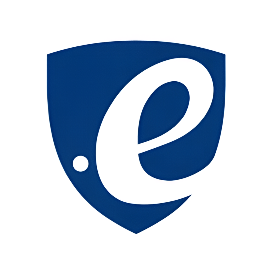 ERNI logo