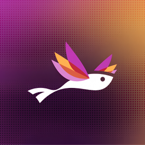 Feldera logo