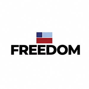 Freedom Technology Solutions Group, LLC logo