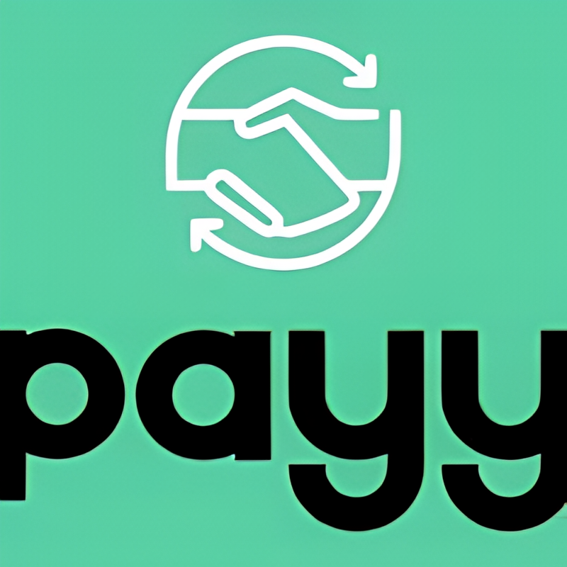 Payy logo